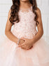Girls Multi Color Illusion Neckline Lace Applique Trim Pageant Dress 2-12 - SophiasStyle.com